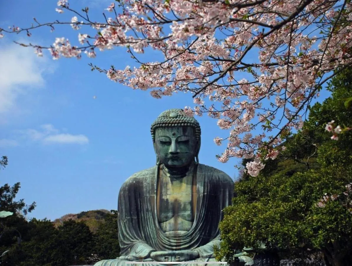 Japanese Traditional Inn Kamakura Rakuan